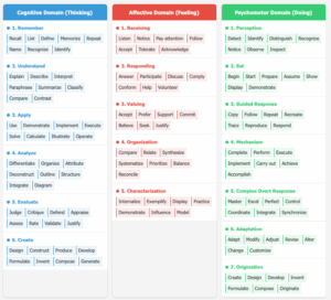 Blooms Learning Domains & Verbs